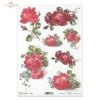 róża, róże, kwiat, bukiet, ogród, lato, R646, rose, flower, bouquet, garden, summer, Rose, Blume, Strauß, Garten, Sommer, rosa, flor, ramo, jardín, verano 